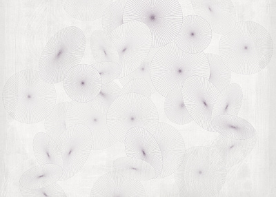 Фотообои WAGASA 2, CREATIVE, Factura