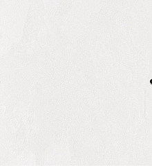 Обои для прихожей (коридора) Bernardo Bartalucci Gaga  84284-21