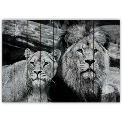 Картины ZOO - 34 Лев и львица чб, ZOO, Creative Wood Картины ZOO - 34 Лев и львица чб, ZOO, Creative Wood
