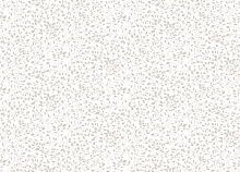 Обои с ветками Marburg Fresh Up 88948