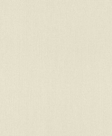 Обои для мансарды Rasch Mandalay 528527