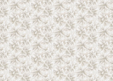 Бежевые обои с цветами Rasch Step-Up 316230