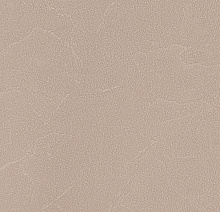 Andrea Rossi Spectrum Plus 54351-6