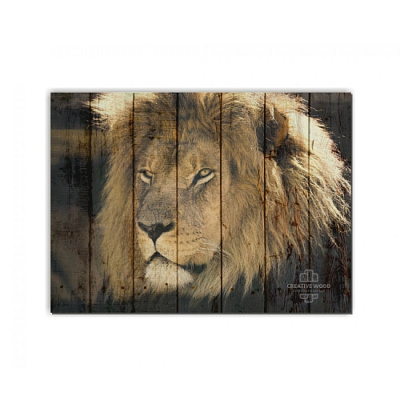 Картины ZOO - 21 Взгляд льва, ZOO, Creative Wood Картины ZOO - 21 Взгляд льва, ZOO, Creative Wood