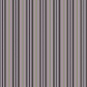 Joli6 007
