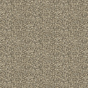 52556