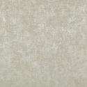 N55678